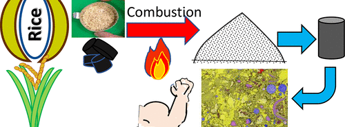 Rayna Higuchi ’20 and research scientist Kunal Kupwade-Patil publish research on the use of biomass ash in engineered cementitious binders