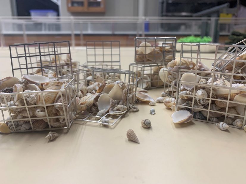 Four small replicas of oyster cages filled with mini seashells placed on a table in a classroom setting