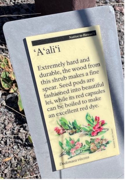 Sign of ʻaʻaliʻi, a plant native to Hawai'i, at the Hawai'i Volcanoes National Park.