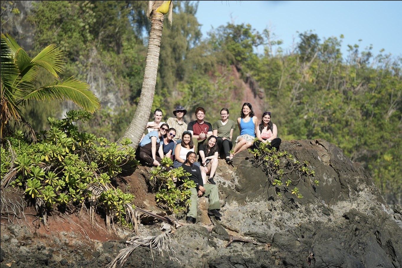 Forest Bathing & Other Lessons from Fieldwork in Hawaiʻi